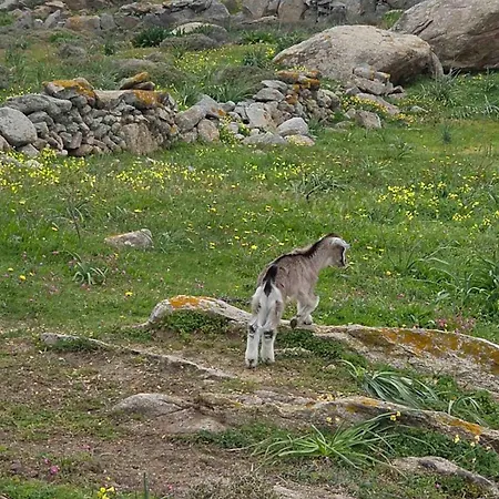 Apsila Mykonos Διαμέρισμα *